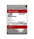 WD120EFBX Disco duro interno WD Red Plus NAS de 12 TB - 7200 RPM, SATA 6 GB/s, CMR, caché de 512 MB, 3.5" , Western Digital, NAS Guatemala