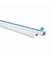DXN10081 Canaleta Blanca 25X25 mm. con Adhesivo de 2mts. de largo