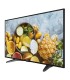 DS-D5043QE Monitor LED Full HD de 43", Uso 24-7, Entrada HDMI-VGA, Compatible con Montaje VESA (200 X 200), Bocinas Integradas