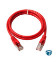 EPA276 Patch cord Cat6 1 pie color rojo para voz y datos, latiguillo corto para gabinete, panel de parcheo y puntos de red