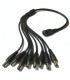 SP1A8COIN Splitter de corriente 1 Conector Hembra y 8 salidas Macho